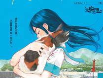 人鱼陷落